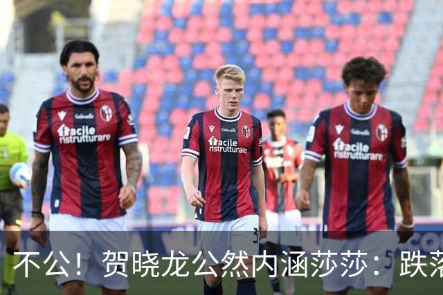 不公！贺晓龙公然内涵莎莎：跌落河北一姐之位，背后竟遭遇网络黑恶势力攻击