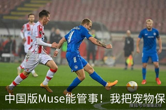 中国版Muse能管事！我把宠物保单、双11算价和周末旅行全交给了灵光2.0