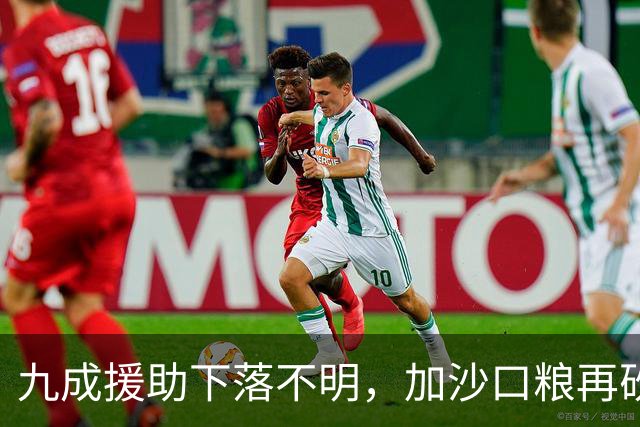 九成援助下落不明，加沙口粮再砍三分之一，欧洲的善意已经见底