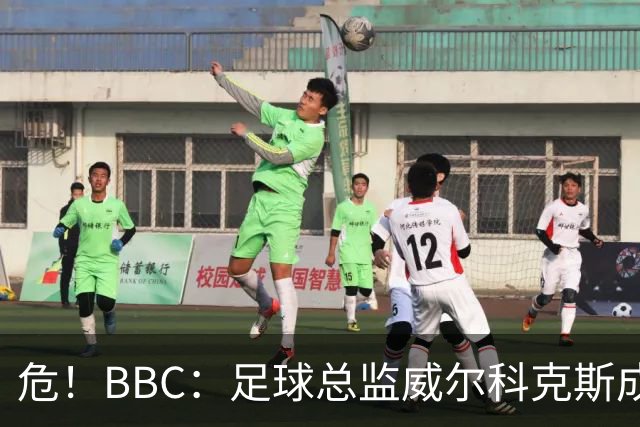 危！BBC：足球总监威尔科克斯成为众矢之的，舆论焦点正向他转移