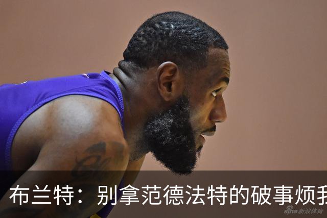 布兰特：别拿范德法特的破事烦我；喜欢克洛普的德国队