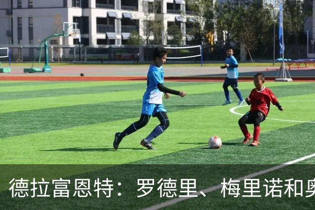 德拉富恩特：罗德里、梅里诺和奥亚萨瓦尔未来可能成为好教练