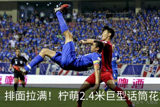 排面拉满！柠萌2.4米巨型话筒花篮，送到肖战演唱会现场