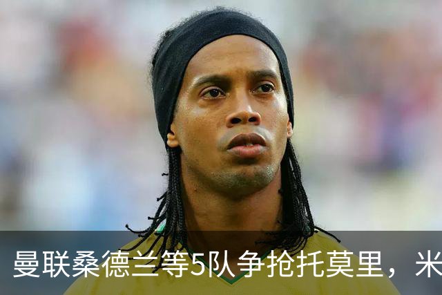 曼联桑德兰等5队争抢托莫里，米兰愿套现