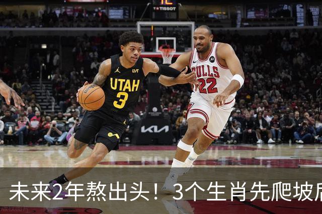 未来2年熬出头！3个生肖先爬坡后享福，稳扎稳打，晚年家底厚