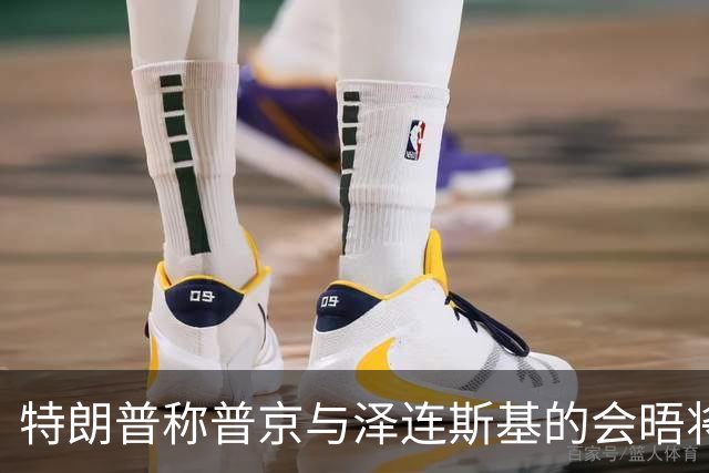 特朗普称普京与泽连斯基的会晤将“很快”安排