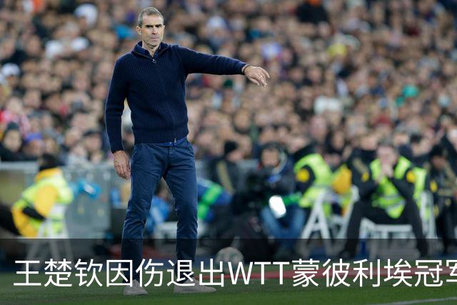 王楚钦因伤退出WTT蒙彼利埃冠军赛，韩国球员安宰贤递补