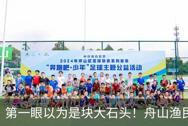 第一眼以为是块大石头！舟山渔民捕获300多斤翻车鱼，已放归大海