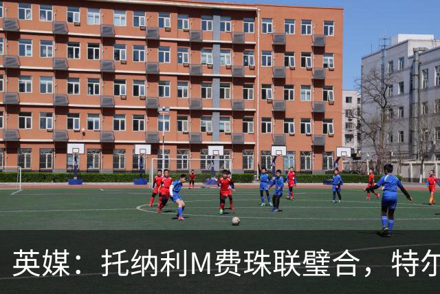 英媒：托纳利M费珠联璧合，特尔等热刺青年才俊展现强大潜力