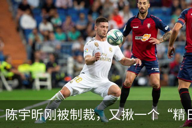 陈宇昕刚被制裁，又揪一个“精日”人员：竟然还是本土企业老板