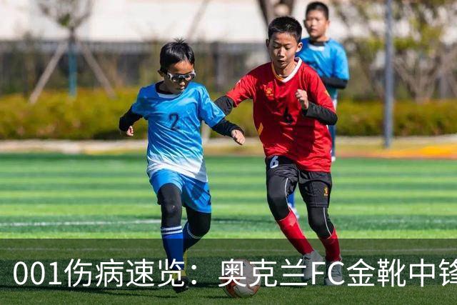 001伤病速览：奥克兰FC金靴中锋停赛，布里斯班狮吼后防厚度低